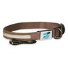 Avery Outdoors Sporting Dog Lighted Collar (Medium, Marsh Brown)