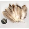 KTGCOZS Pack of 50 Flank Feathers Fly Tying Natural Barred