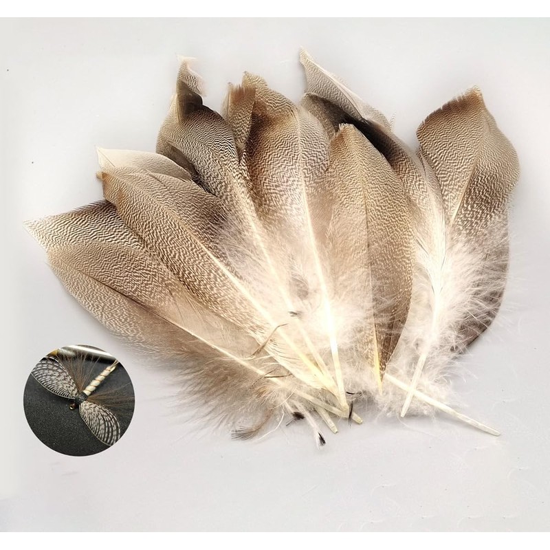 KTGCOZS Pack of 50 Flank Feathers Fly Tying Natural Barred