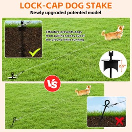 Snagle Paw Dog Tie Out Cable & Stake with Lock Cap - 30ft Heavy Duty Rust Proof Cable, 360° Swivel Dog Yard Leash & Stake Up to 220 lbs - Ground Anchor for Yard, Beach, Camping & Outdoor Use