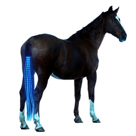 A&K L'YDIA Horse Tail LED Light Bar,100cm/40inch Horse Equipment Riding Tail Trapings Equestrian Type-c Charge Horse Tail Bag for Horse Shows (Blue)