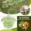 Pack of 10 XL Snail Protection Rings - Natural Snail