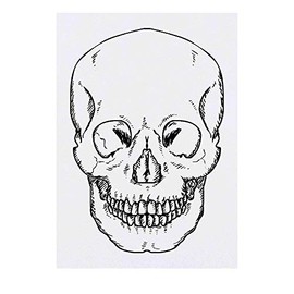 'Forward Facing Skull' Temporary Tattoo - Water Resistant, Skin-Safe, Non-Toxic Transfer (TO00016598)
