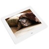 8 Inch Digital Photo Frame IPS Full 800x600 HD Screen