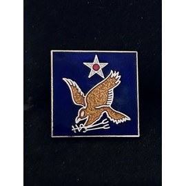 US Army Air Force 2nd Air Force Pin (P85-8) WW2 USAAF USAF