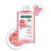 Klorane Peony Shampoo 400ml + Serum 100ml (+ Shampoo 100ml