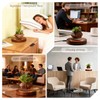 CENTRALEV Magnetic Levitating Plant Pot with LED Light, 360° Rotating