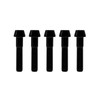 RISON-Titanium 5 pieces titanium bicycle stem screws, M6 x 1.0