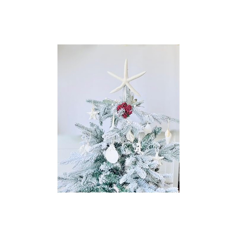 Seashell Collection Natural Single Starfish Tree Topper (Natural)