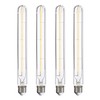 FLSNT T10/ T30 Dimmable LED Edison Bulbs, 9.4" Decorative LED