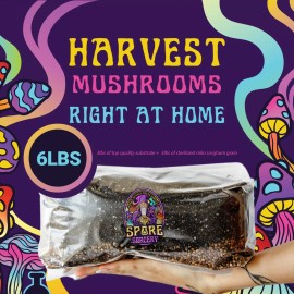 Spore Sorcery 6lbs All-in-One Mushroom Grow Kit in a Bag | HUGE FLUSHES | Easy to Use