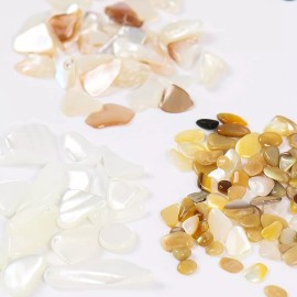 SARATA 12 Rejillas De Uñas De Arte De Piedras Decorativas De Uñas P