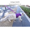 Yizhi Miaow Cat Harness and Leash for Walking Escape Proof