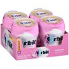 ORBIT Bubblemint Sugar Free Chewing Gum Bulk Pack, 55 Piece