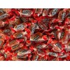 Jolly Rancher "ALL FRUIT PUNCH" Flavored Hard Candy- BULK -