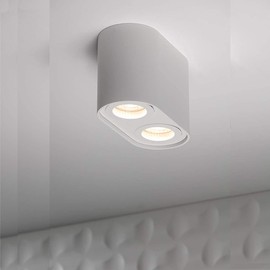 CGC Lighting White Twin Round Cylinder Surface Mount Ceiling Spotlight Downlight High End Hotel Style Double Spot Down Light