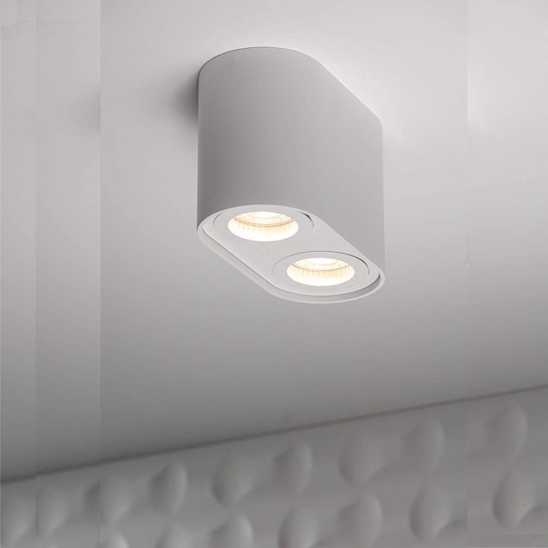 CGC Lighting White Twin Round Cylinder Surface Mount Ceiling Spotlight