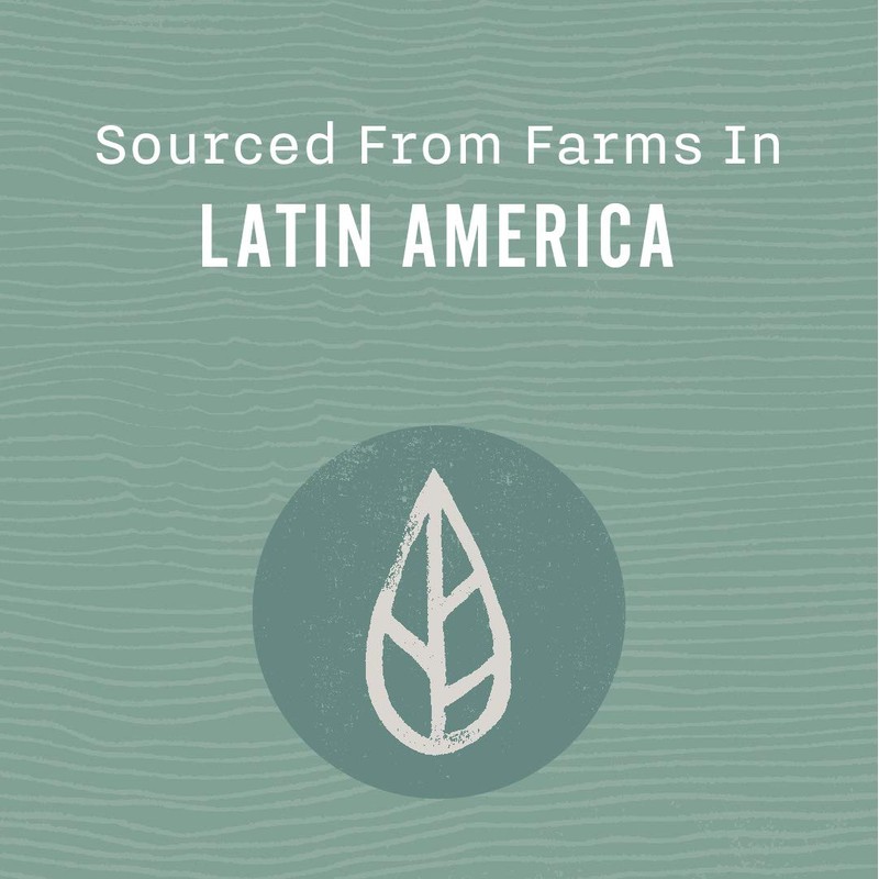 Allegro Coffee Rainforest Blend Ground Coffee, Caramel , 12 oz