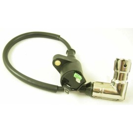 TAOTAO IGNITION COIL METAL HEAD TAOTAO COOLSTER 110cc 125cc 250cc ATV DIRT BIKE GO-KART