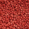 Candy Retailer French Burnt Peanuts 1 Lb.