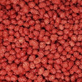 Candy Retailer French Burnt Peanuts 1 Lb.