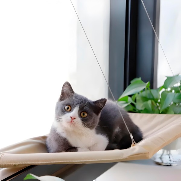 SEGANDAVI Cat Hammock with Window - Clothes Hanger with Suction