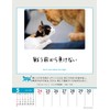 Wing Life is Nyan! CL-384 Tabletop/Wall Hanging, 2026 Calendar, 7.1