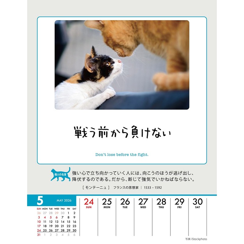 Wing Life is Nyan! CL-384 Tabletop/Wall Hanging, 2026 Calendar, 7.1