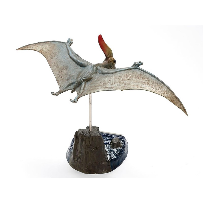 TAMIYA 60204 1:35 Dinosaur Pteranodon Plastic Kit Model Making Faithful