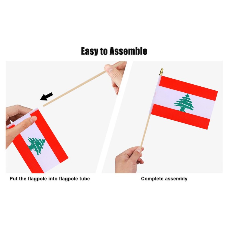 HSQCEZ 12Pcs Small Lebanon Flags on Wooden Stick Mini Lebanese