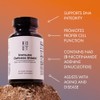Root Wellness Immune Defense Shield Vitamins, Minerals & Quercetin 60