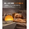 Dreamegg Light Alarm Clock, White Noise Machine, Alarm Light, Light
