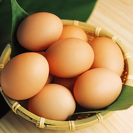 Suigo no Toriya-san Flat Koden Eggs, Free-range Natural Eggs, Fertilized Eggs, Pack of 5 (+1 Breakage Guaranteed)