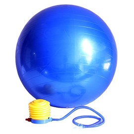 Ader Versa Ball Stability Ball 55CM, 65CM,75CM with Pump (55CM)