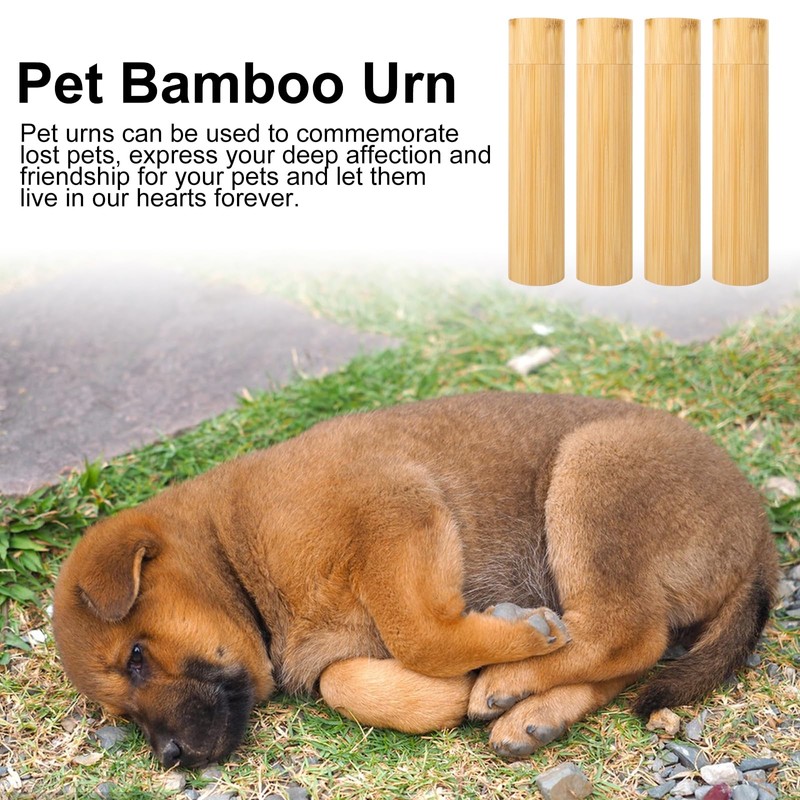 Eco Bamboo Scattering Urn – Biodegradable Scattering Tube for Ashes
