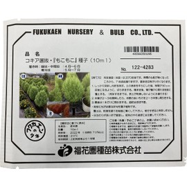 Fukkaen Seedlings, Kochia Selection, "Fluffy" Seeds, 0.4 fl oz (10 ml) Pack, Green