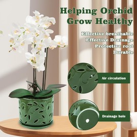 BUYMAX Set of 2 Orchid Pots with Holes & Saucers for Orchid Root Health, 5 inch&6 inch Ceramic Pots for Plants (Patina)