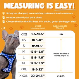 Bark Appeal Aqua Blue Step-in Dog Harness for Small-Medium Pets – Updated Sizing, Re-Measuring is Essential – Soft Vest Harness – Anti-Choke with Adjustable Strap & Heavy Duty Clip – L