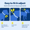 PetSafe Nylon Leash - Helps Maintain Secure Connection on Walks
