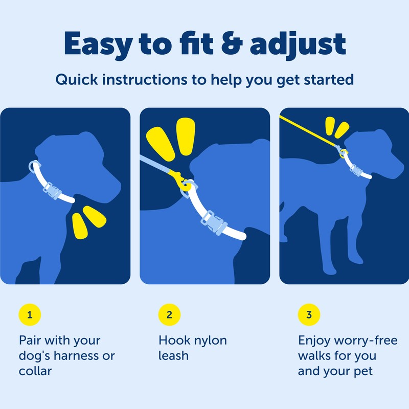 PetSafe Nylon Leash - Helps Maintain Secure Connection on Walks