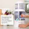 Santevia Mineral Stones Replacement | Adds Healthy Minerals & Alkalinity
