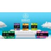Horley Tea - Té De Jengibre Con Cúrcuma Y Canela