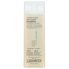 GIOVANNI ECO CHIC Golden Wheat Deep Cleanse Shampoo - Shampoo for Oily hair, Deep Cleansing With Botanical Oils, Helps Encourages Volume & Shine, Color Safe - Spearmint Oil + Aloe Vera, 8.5 oz
