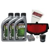 Cyclemax Full Synthetic Tune Up Kit with Spark Plugs compatible