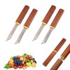 NXPpiULeh 4 PCS Paring Knives Set Professional Peeling Knife Stainless