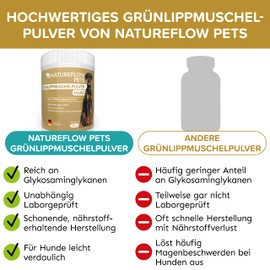 Green-lipped Mussel Dog Test Winner - 250 g Natural Green-Lipped Mussel Powder for Dogs - Support Joint Function - Green-Lipped Mussel for Dogs with High Acceptance - Green-Lipped Mussel Powder Dog