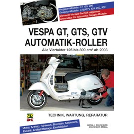 Vespa GT, GTS, GTV Automatik-Roller: Alle Viertakter 125 bis 300 cm3 ab 2003: Alle Viertakter 125 bis 300 cm3 ab 2003. Technik, Wartung, Reparatur