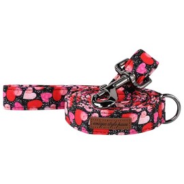 Unique Style Paws Valentine's Dog Collar Leash Colorful Heart Love Dog Collar Leashs for Small Medium Large Dog New