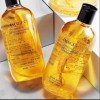 Shampoo De Ginseng Hidratante Cabello Seco Dañado Anti Caspa