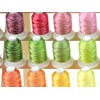 New 50 Cones Variegated Colors Polyester Machine Embroidery Thread 40wt